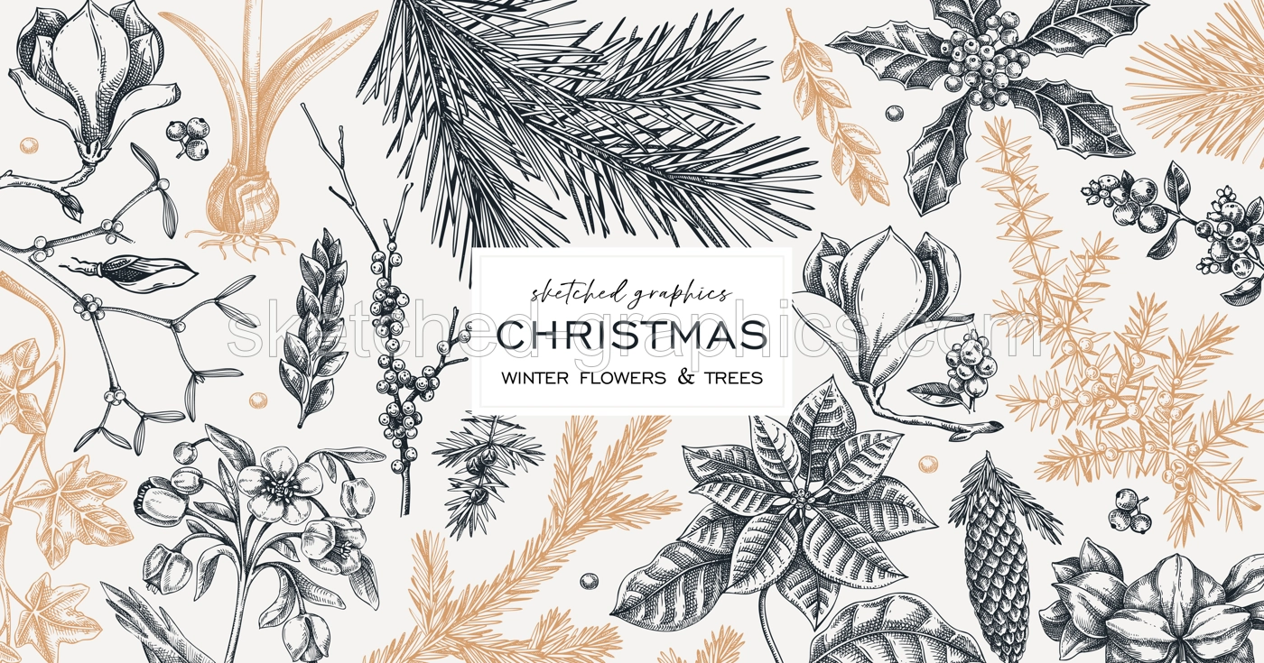 Vintage Christmas banner design. Winter plants background. Conifer trees, winter flowers, berry sketches. Hand drawn vector illustration. NOT AI generated Illustration